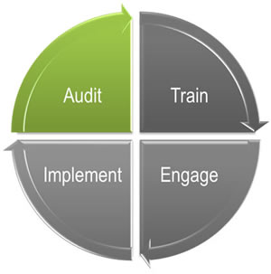 Audit Services